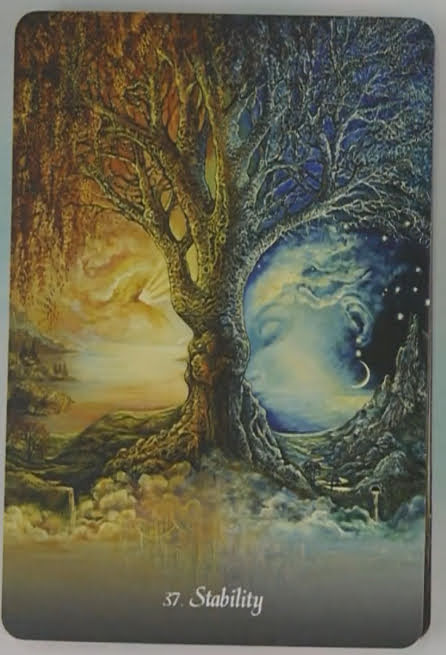 Gratitude Oracle